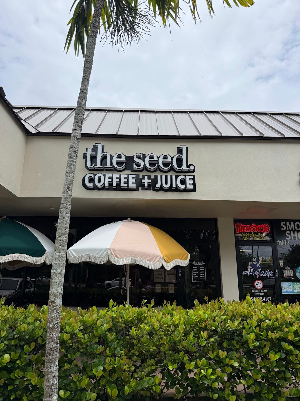 the seed. Coffee + Juice Bar