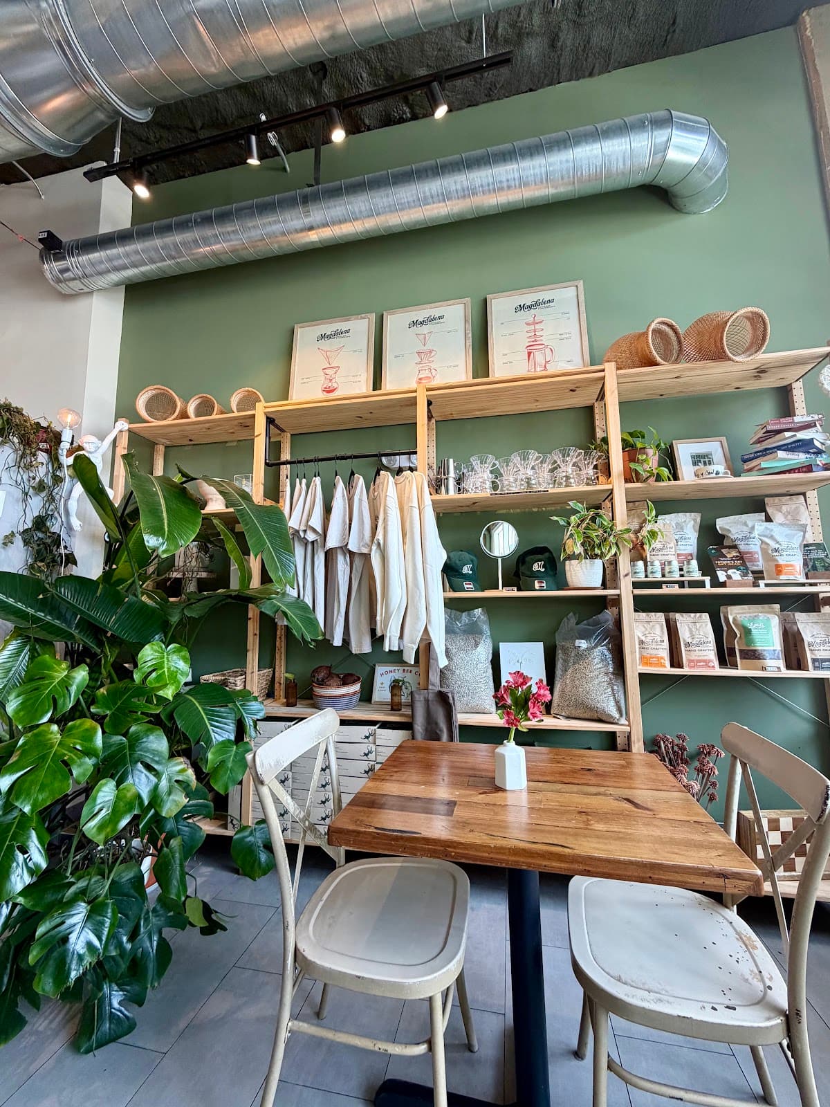 Magdalena Coffee & Houseplants